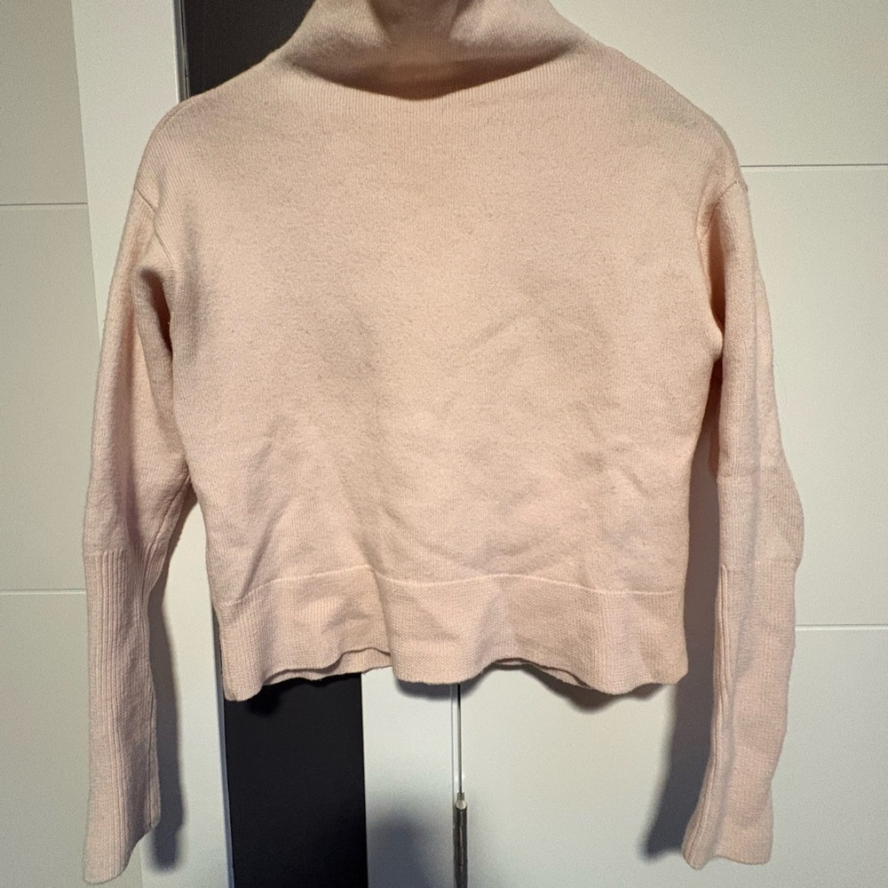 Aritzia Turtleneck Sweater